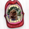 Mouth Mirror