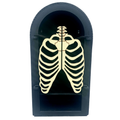 Ribcage Cabinet