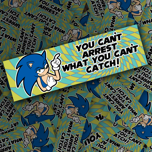 Sonic Bumper sticker
